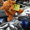 ToyRun 2012_0155